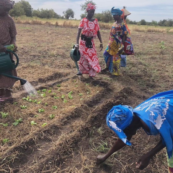 “Mujeres campesinas empoderadas liderando la resiliencia frente al cambio climático en la comuna de Nguéniène”   