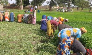 Trabajo de Mundu Bakean en Kaolack Senegal