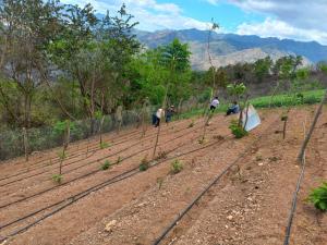 Cooperación Internacional Desarrollo con Mejorha