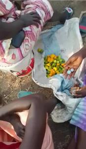 Proyecto de Ayuda Humanitaria con AFAFA 2023
