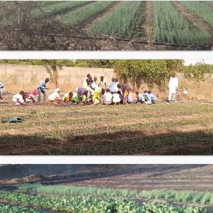 Proyecto AFAFA- Ikastola Amaraberri